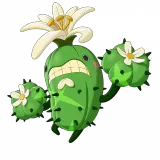 蹦蹦花（象牙球形态）